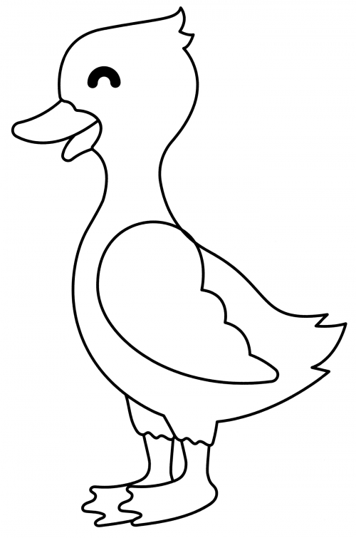 Little duckling coloring page