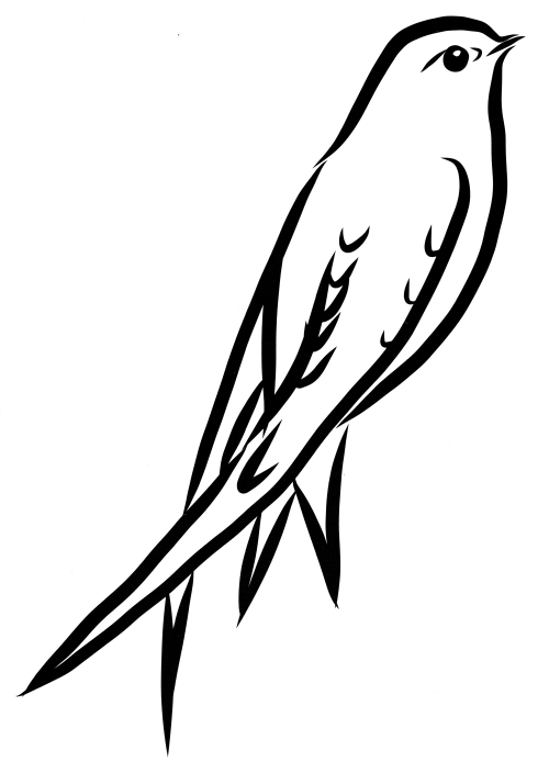 Cute swallow coloring page