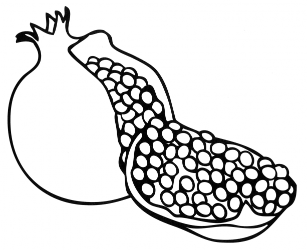 Open pomegranate coloring page