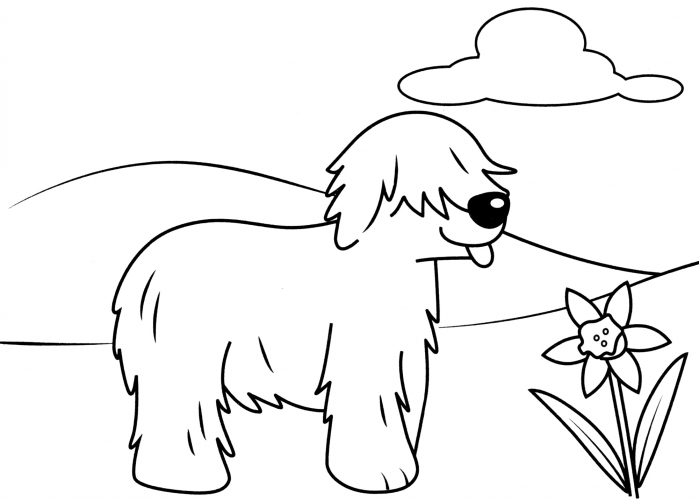 Shaggy dog coloring page