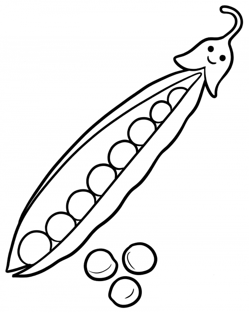 Green pea pod coloring page