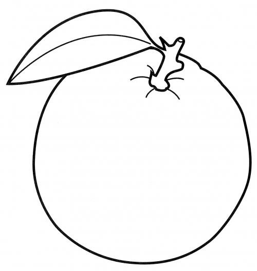 Orange with a leaf coloring page