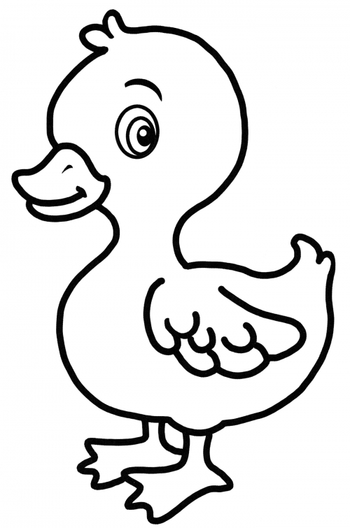 Beautiful little duck coloring page