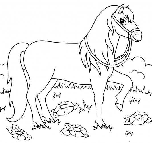 Horse in a meadow coloring page