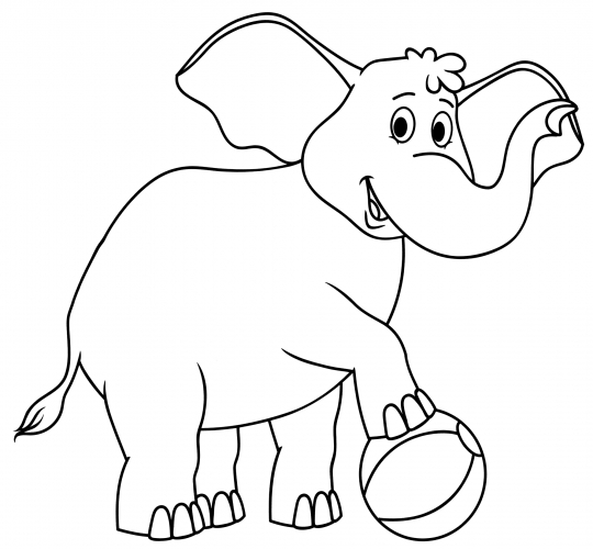 Elephant with a ball coloring page
