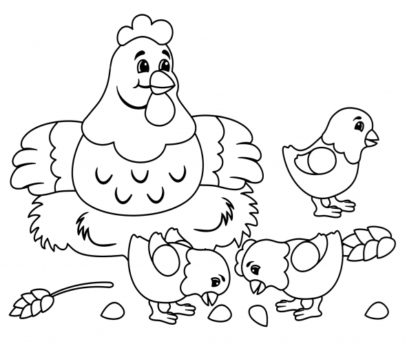 Hen and her chicks coloring page