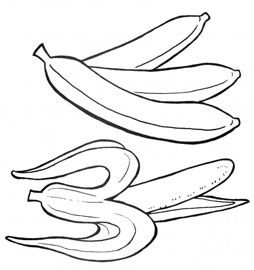Banana twig coloring page