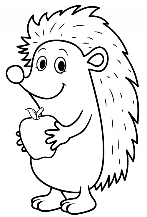 Hedgehog and apple coloring page