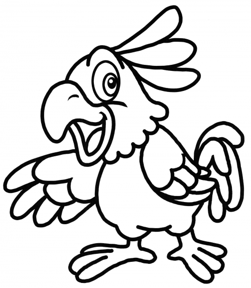 Jolly parrot coloring page