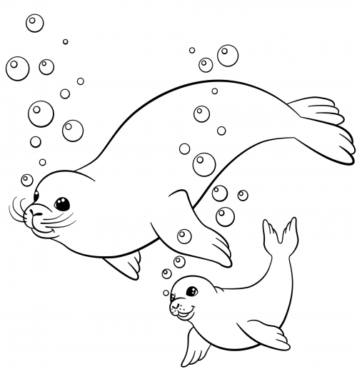 Mama seal and her baby coloring page