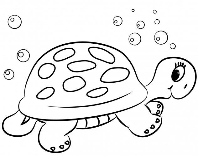 Turtle looks around coloring page