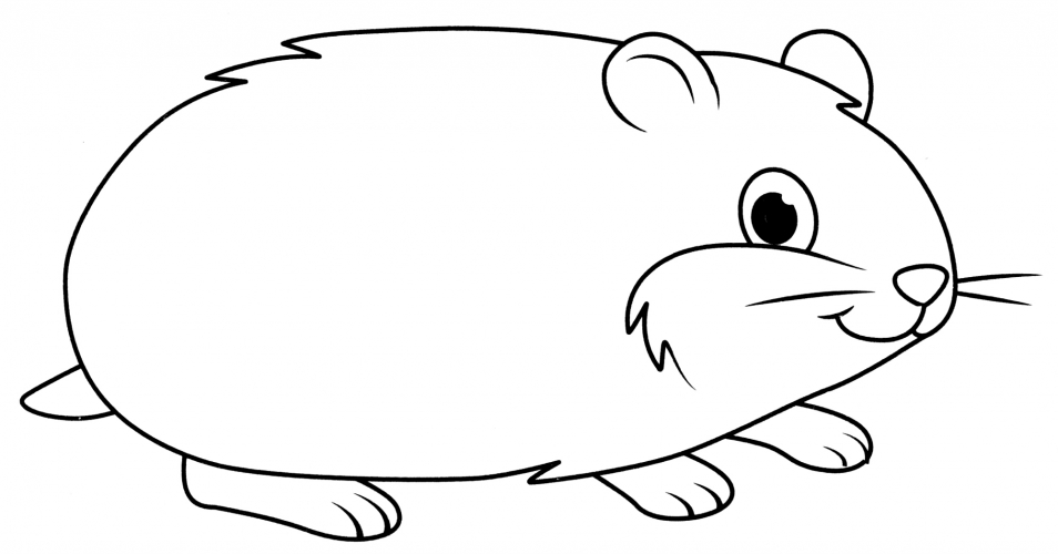 Cute hamster coloring page