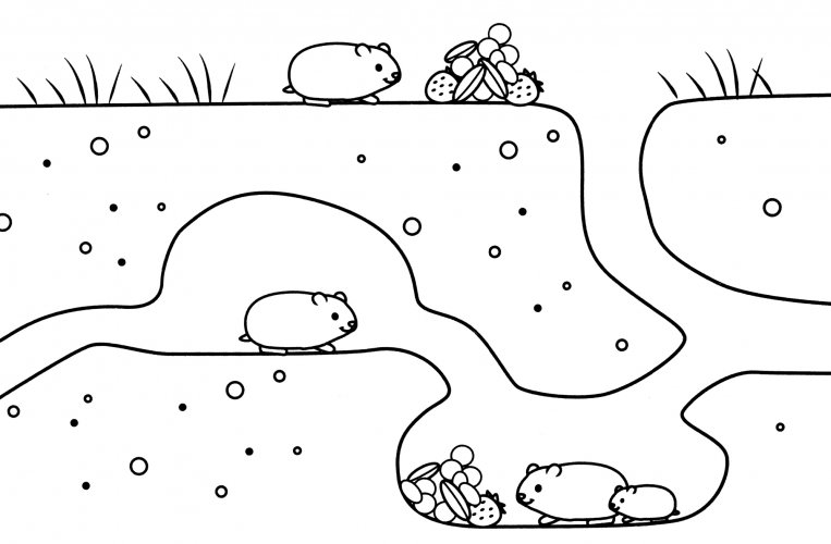 Hamsters in the tunnel coloring page