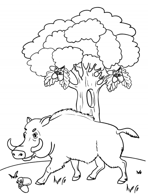 Boar under the oak tree coloring page
