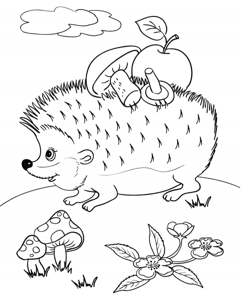 Hedgehog carrying mushrooms and an apple coloring page