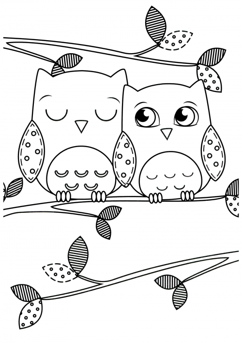 Two owls on a branch coloring page