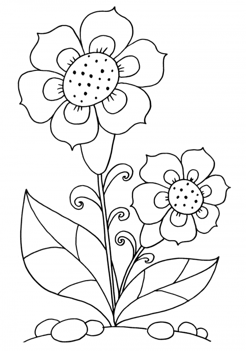 Beautiful flower coloring page