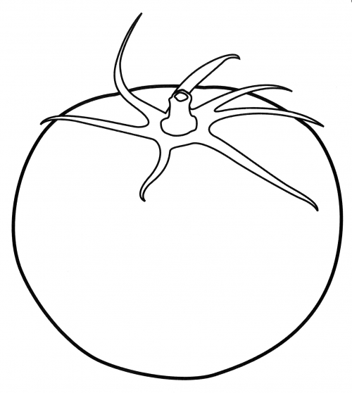 Ripe tomato coloring page