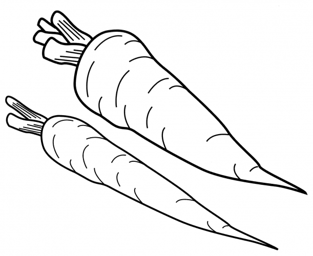 Two carrots coloring page