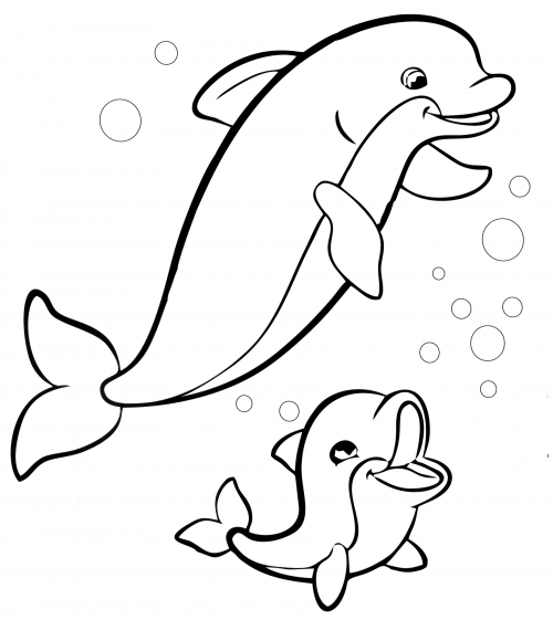 Baby dolphin with its mother coloring page