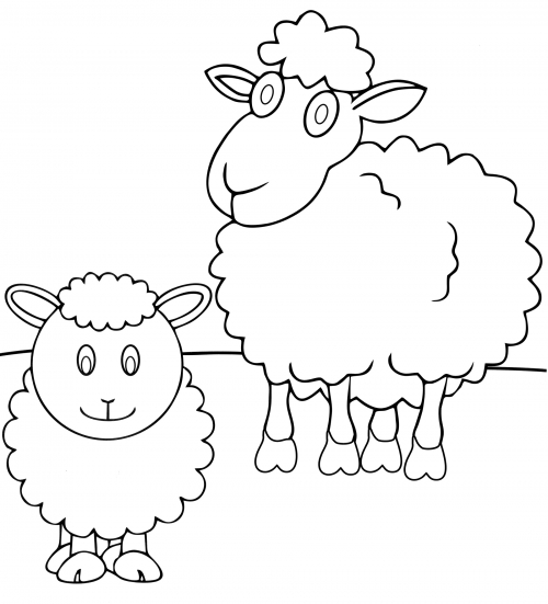 Two fluffy sheep coloring page