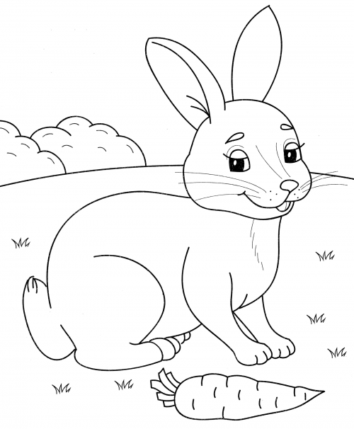 Bunny found a carrot coloring page