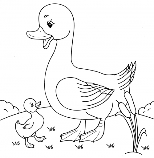 Duck family coloring page