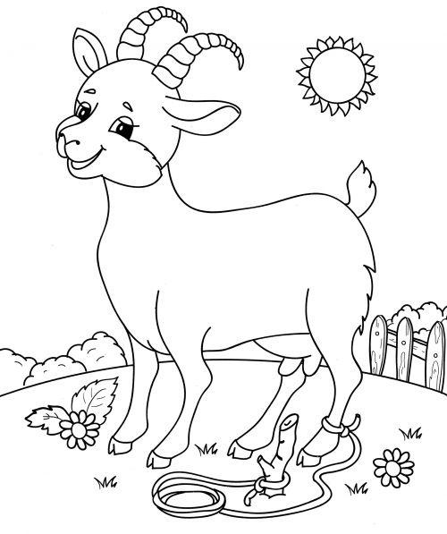 Goat grazing coloring page