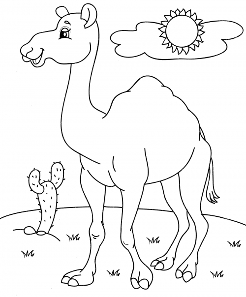 Camel walking coloring page