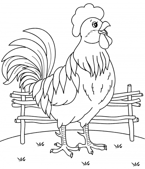 Rooster in the yard coloring page