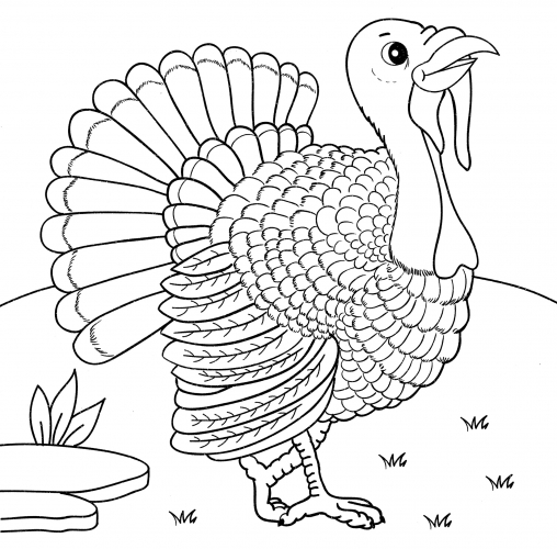 Turkey walking around the yard coloring page