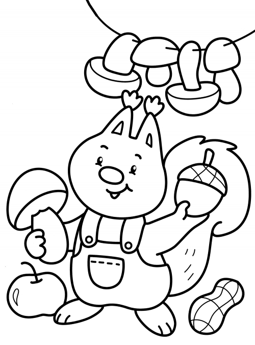 Squirrel picks mushrooms coloring page