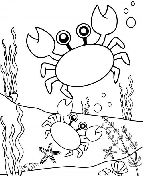 Two crabs underwater coloring page