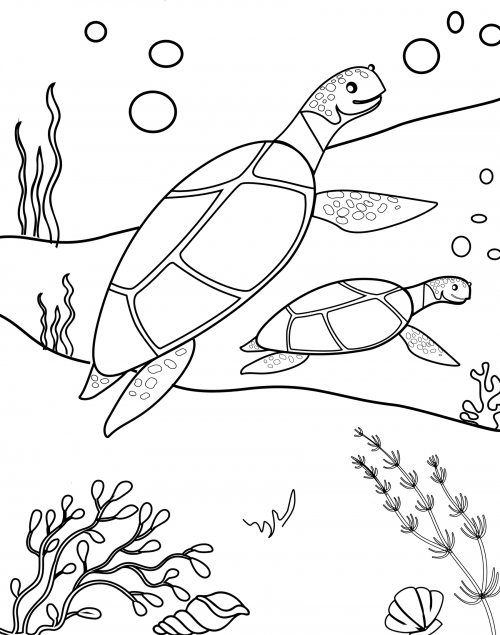 Two turtles underwater coloring page