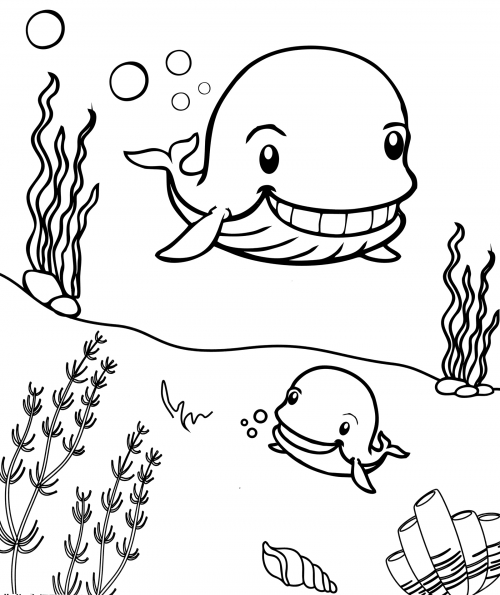 Whales are smiling coloring page