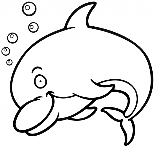 Dolphin underwater coloring page