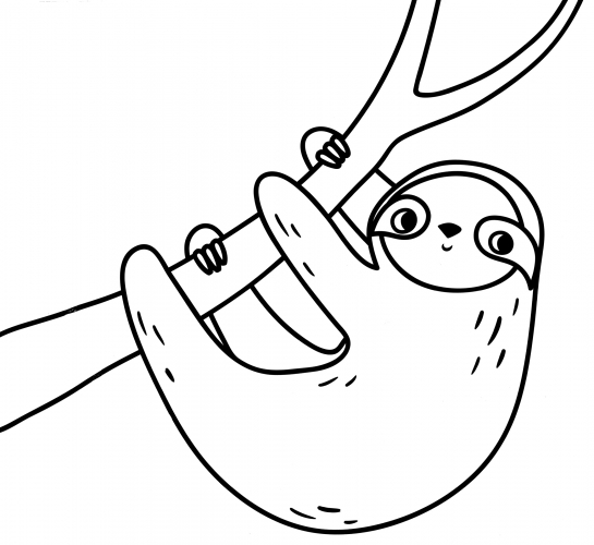 Sloth in a tree coloring page