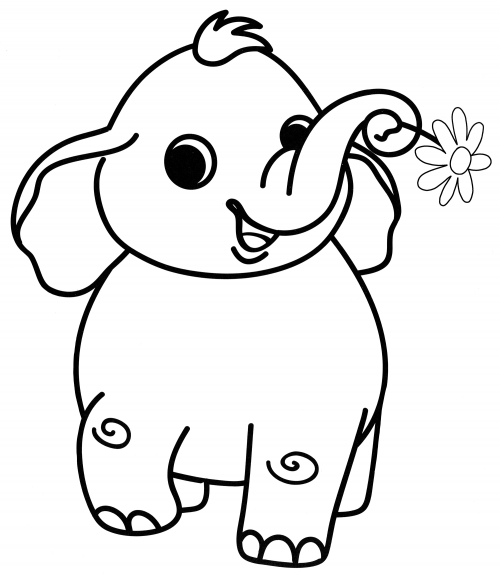 Elephant with chamomile coloring page