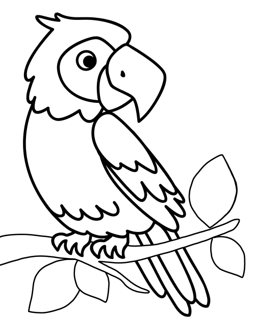 Parrot in the tree coloring page