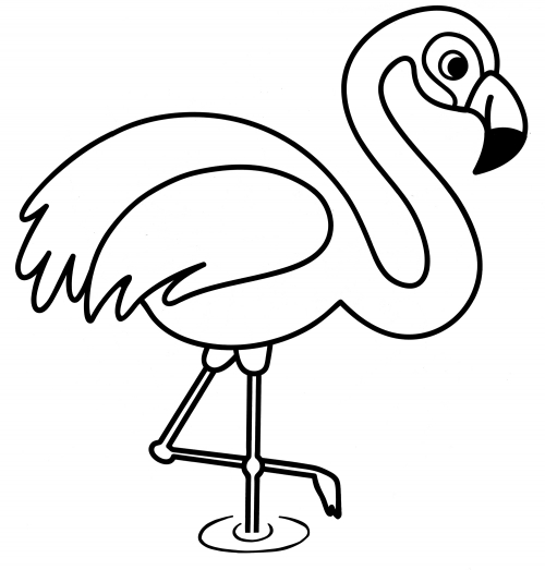 Flamingo in the water coloring page