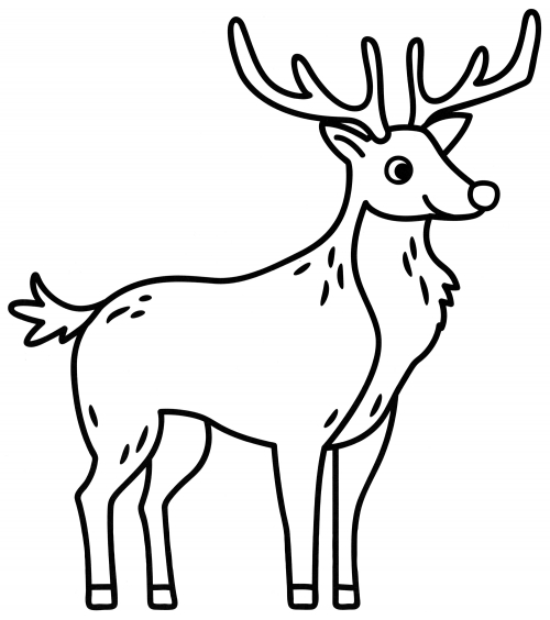 Horned deer coloring page