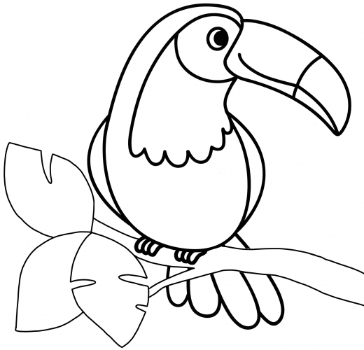 Toucan in a tree coloring page