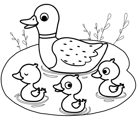 Mother duck and ducklings swimming coloring page