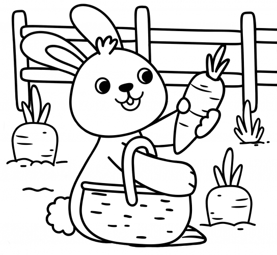 The bunny picks carrots coloring page